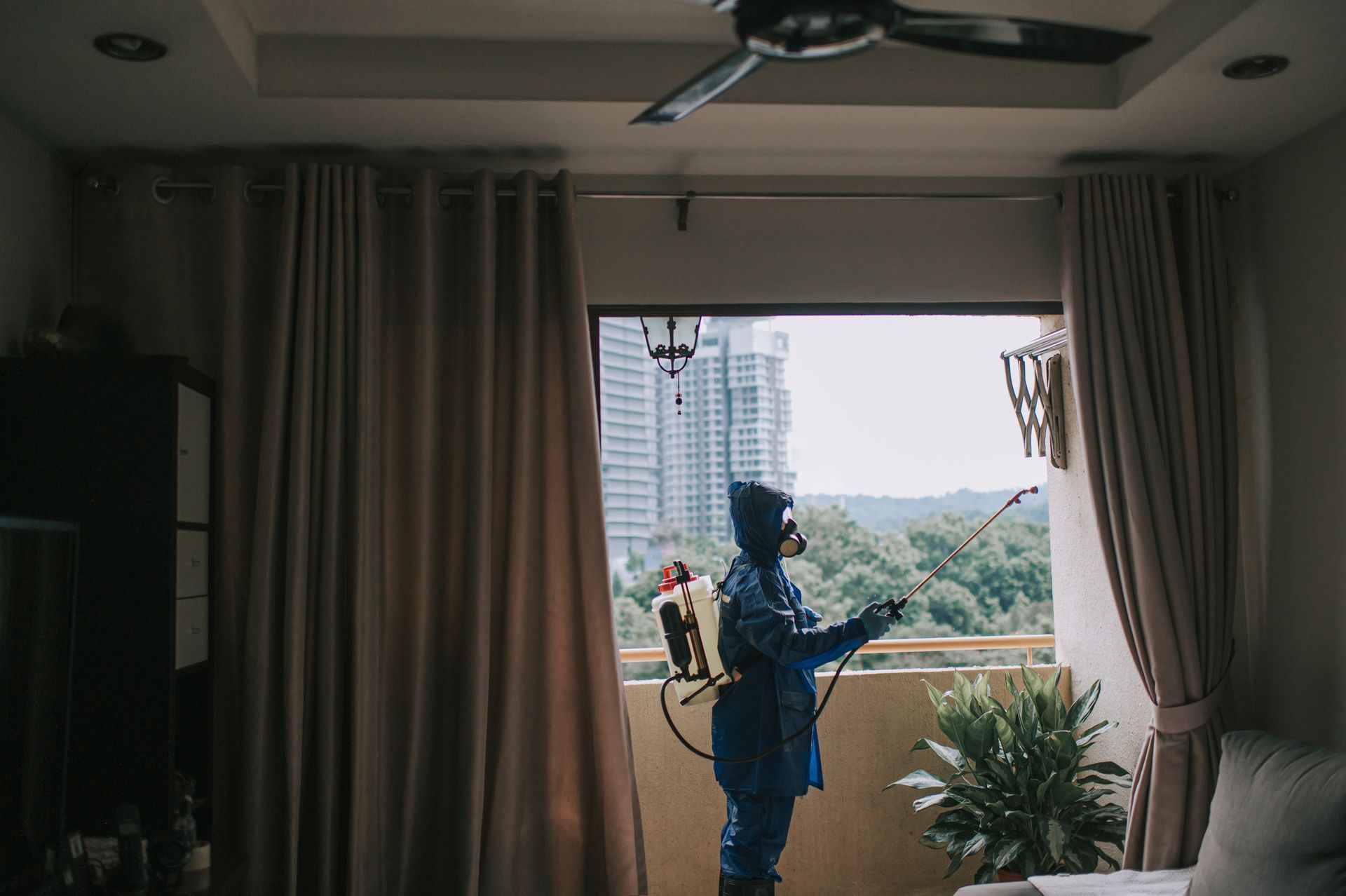 Person watering a potted plant on a balcony, seen from inside a room with curtains and city buildings outside