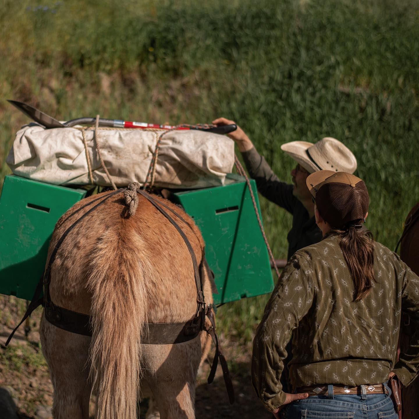 A man in a cowboy hat is pushing a green box on the back of a horse.