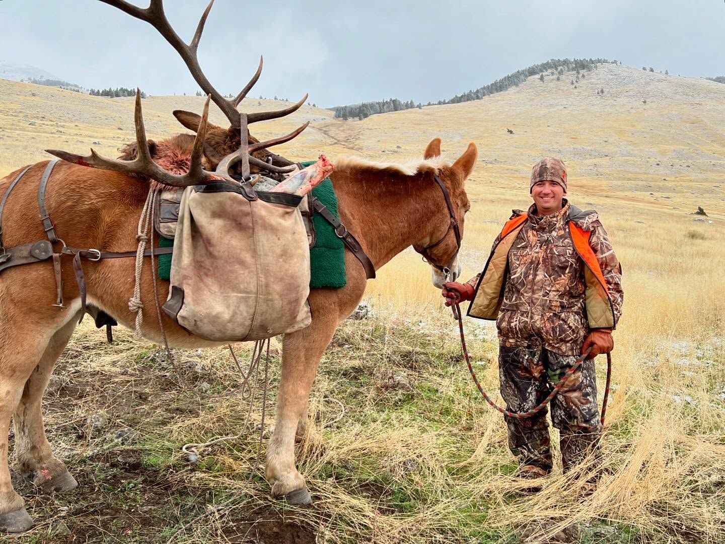 A man is standing next to a horse in a field.