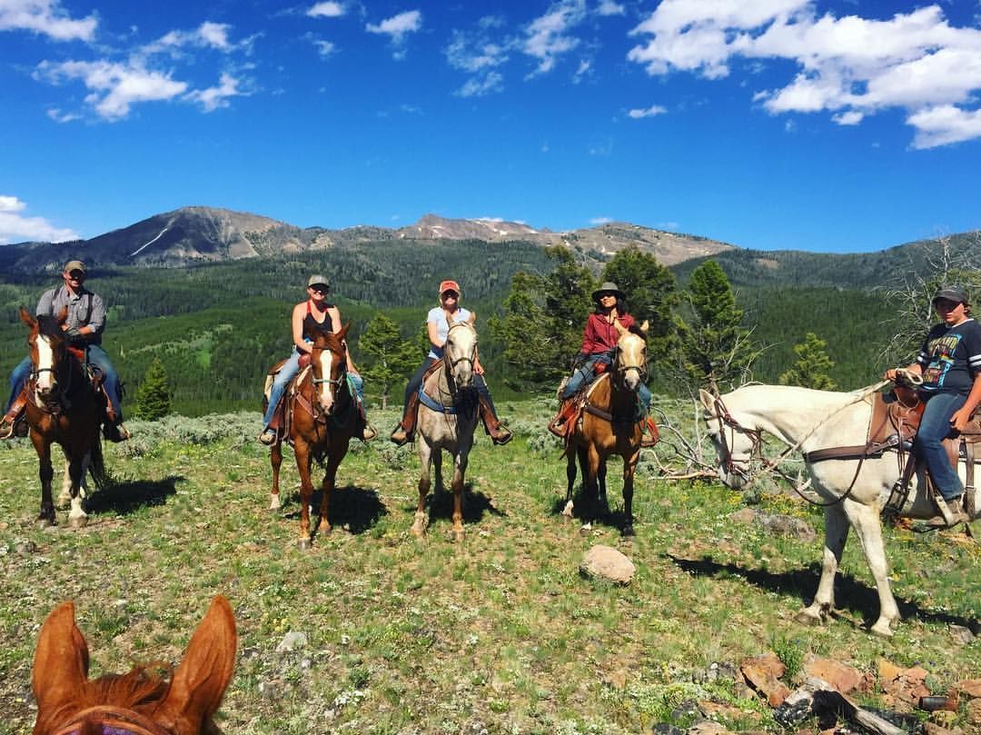 A group of people are riding horses in a field with mountains in the background.