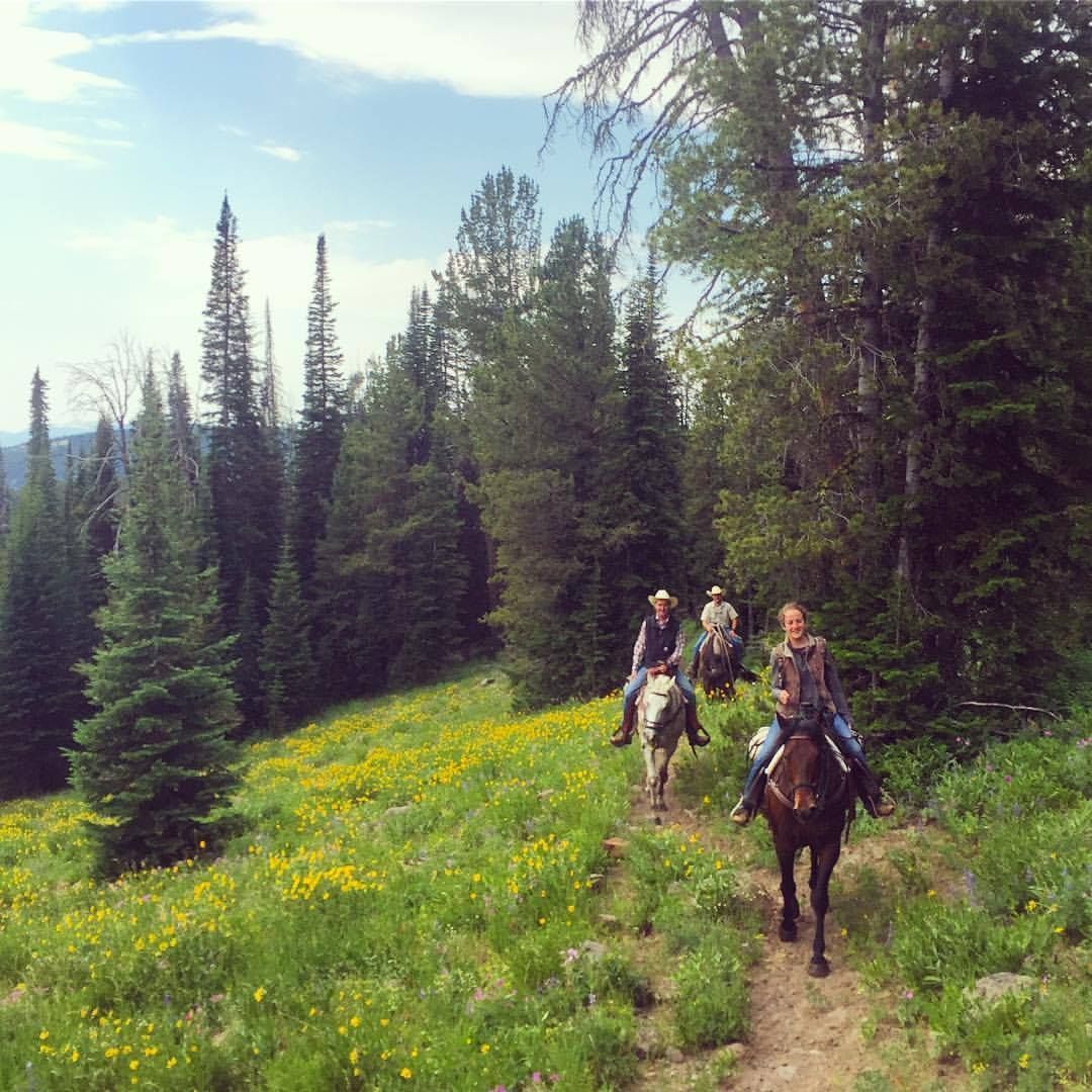 A group of people are riding horses down a path in the woods.