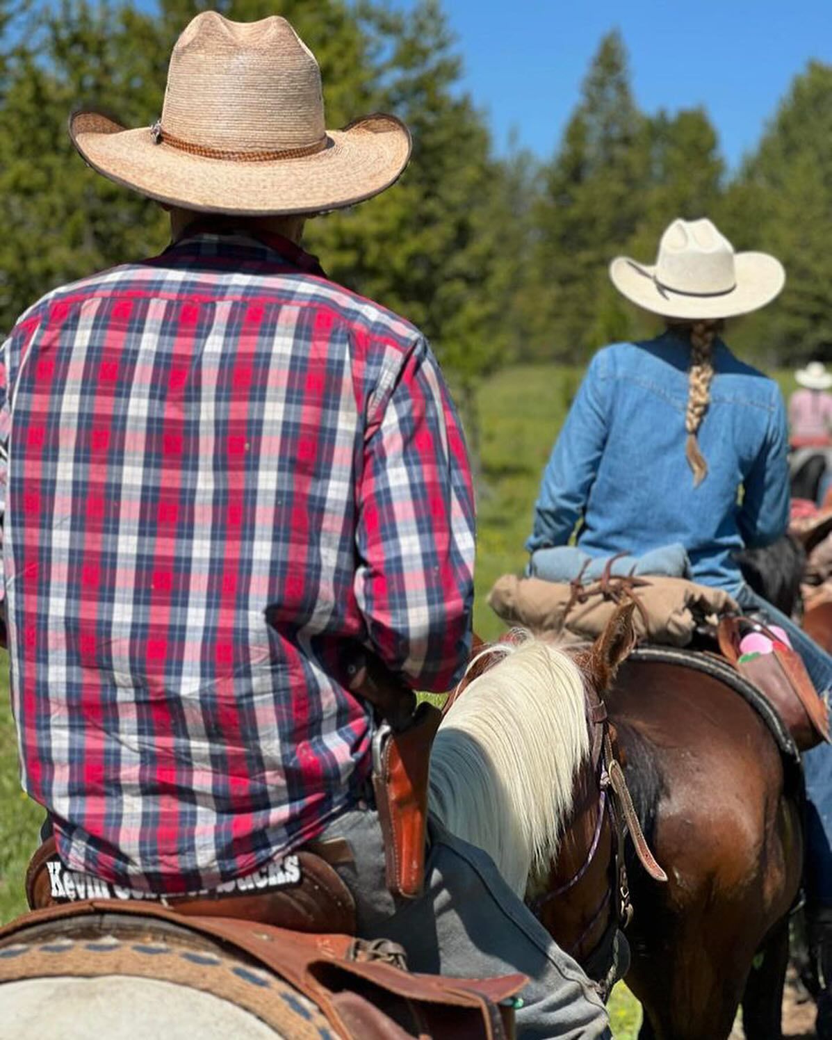 A man in a plaid shirt and cowboy hat is riding a horse.
