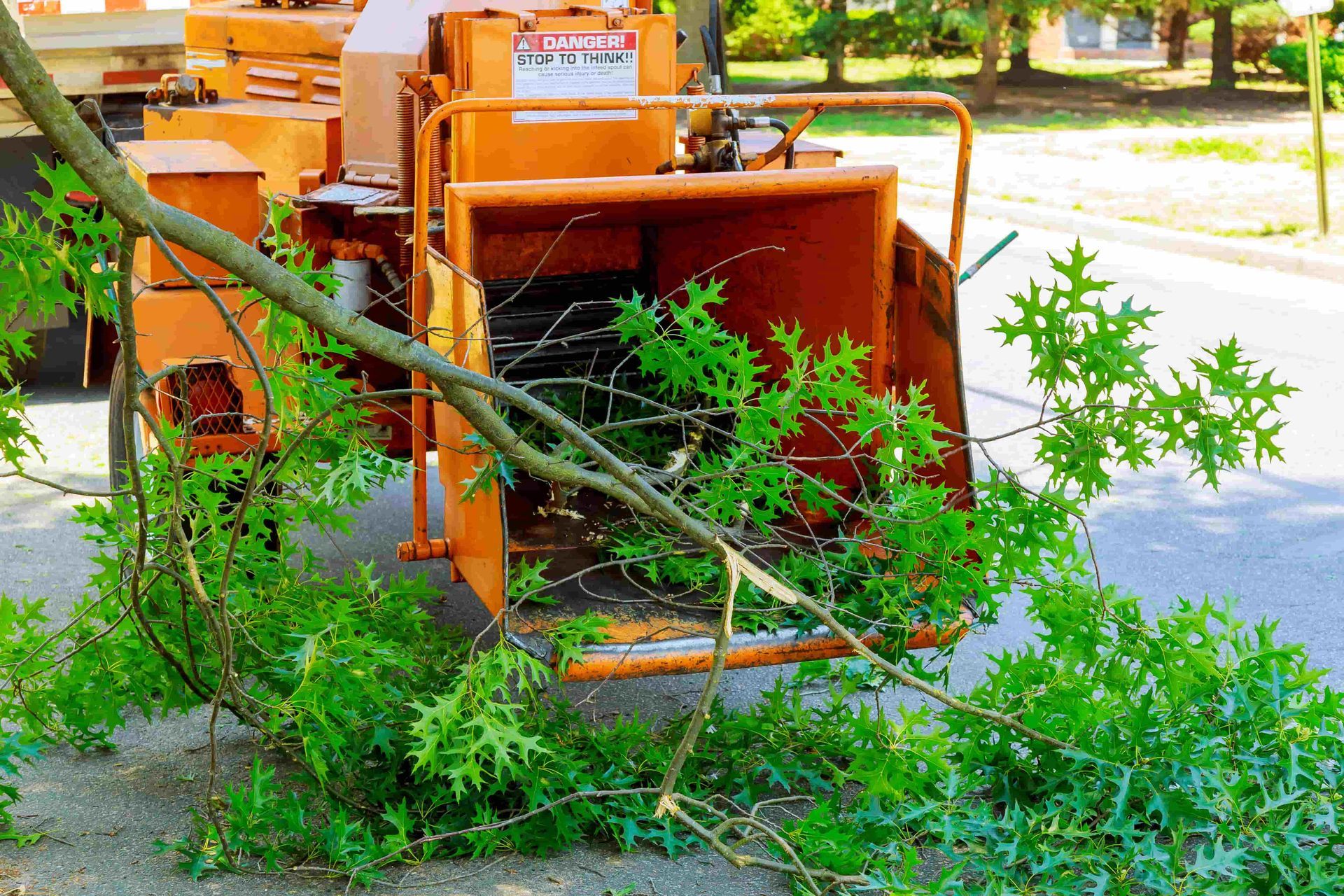 Orange tree chipper getting ready to chip a medium-sized tree branch on a road.