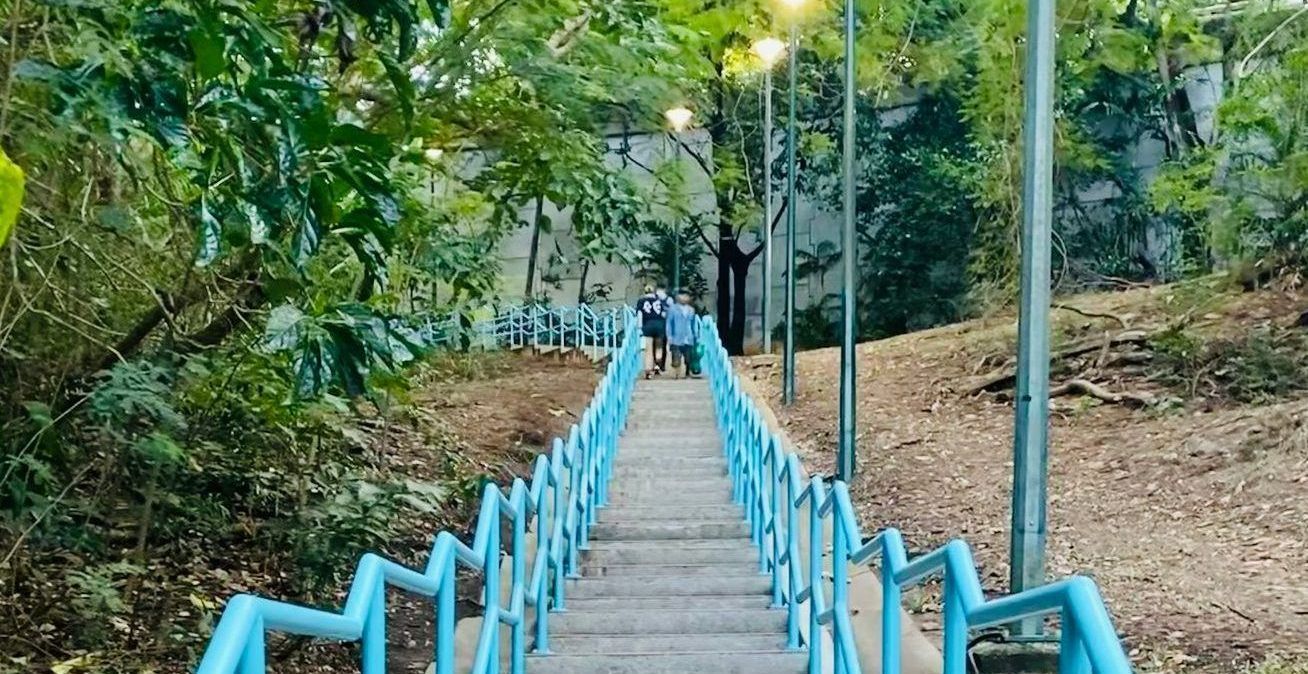 An image of stairs with blue railing, leading into the CBD.