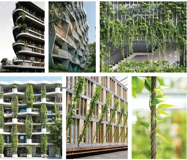 Six buildings with varying green walls and climbing plants, showcasing examples of vertical gardens.