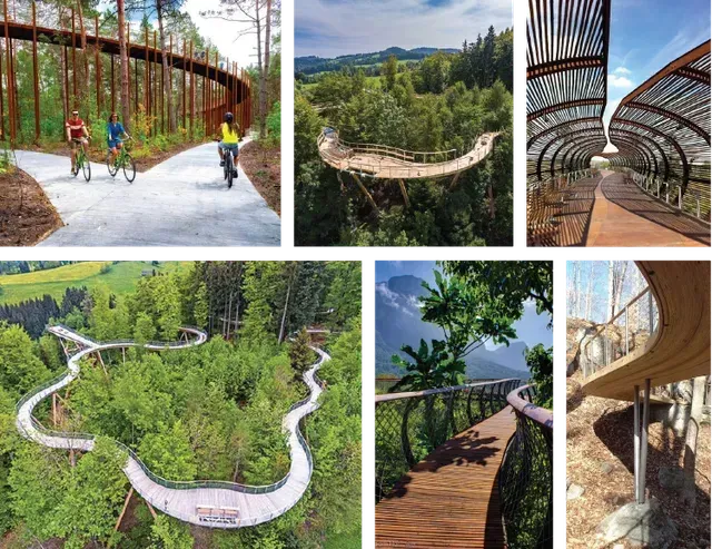 Composite of elevated wooden walkways winding through lush forests, offering scenic views and recreational opportunities.