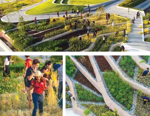 People exploring a terraced garden with winding pathways and diverse plants.