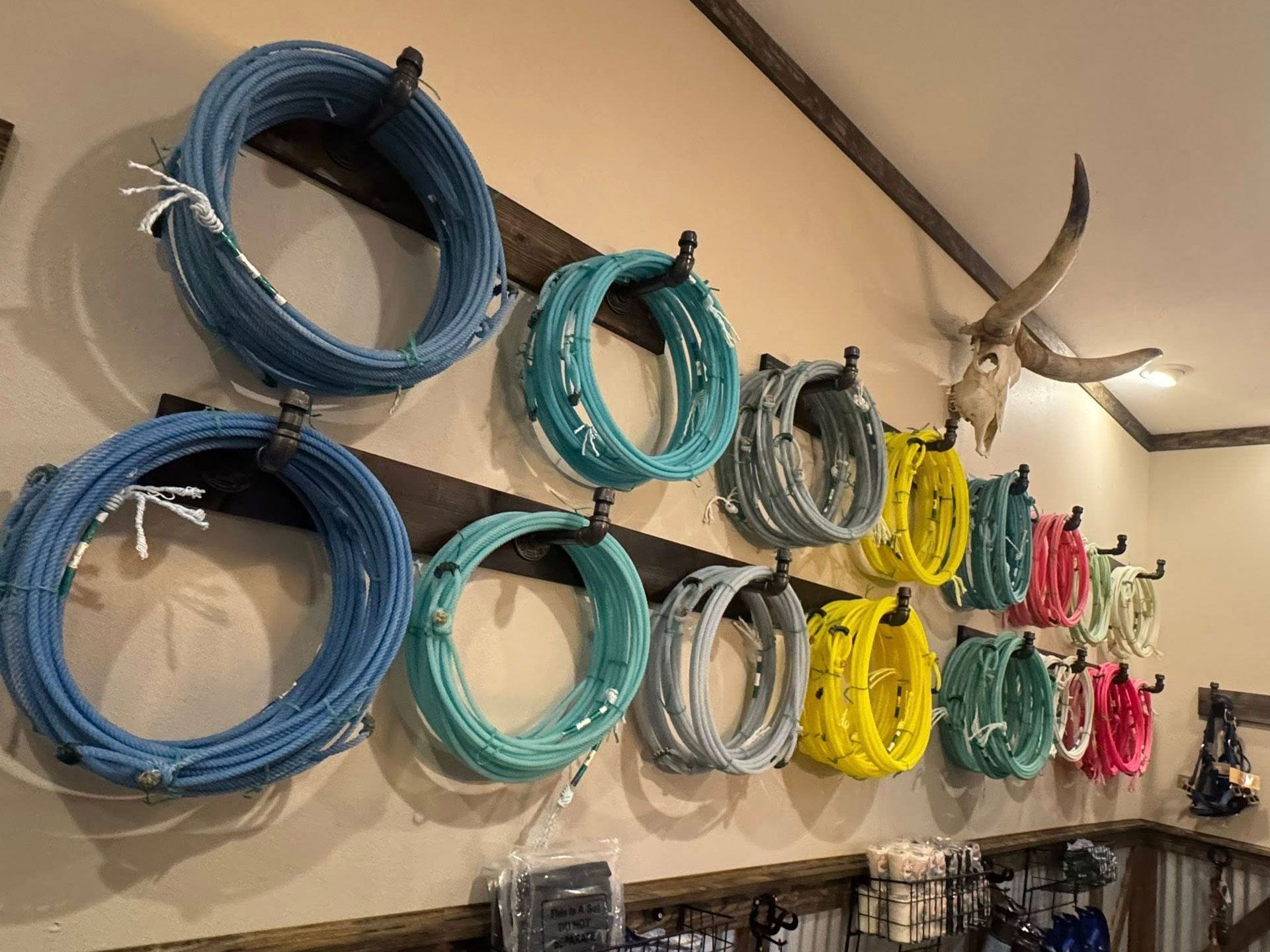 different color logo