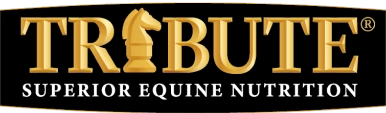 Logo for Tribute, superior equine nutrition. Gold letters on black background. Knight chess piece in the letter  I