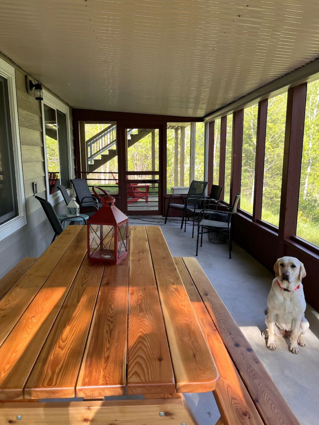 A dog is sitting on a porch next to a wooden table.