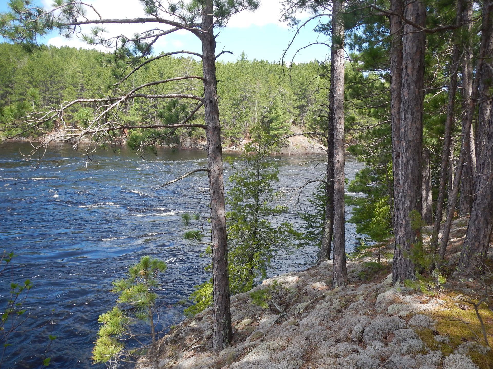 A lake surrounded by trees and rocks on a sunny day