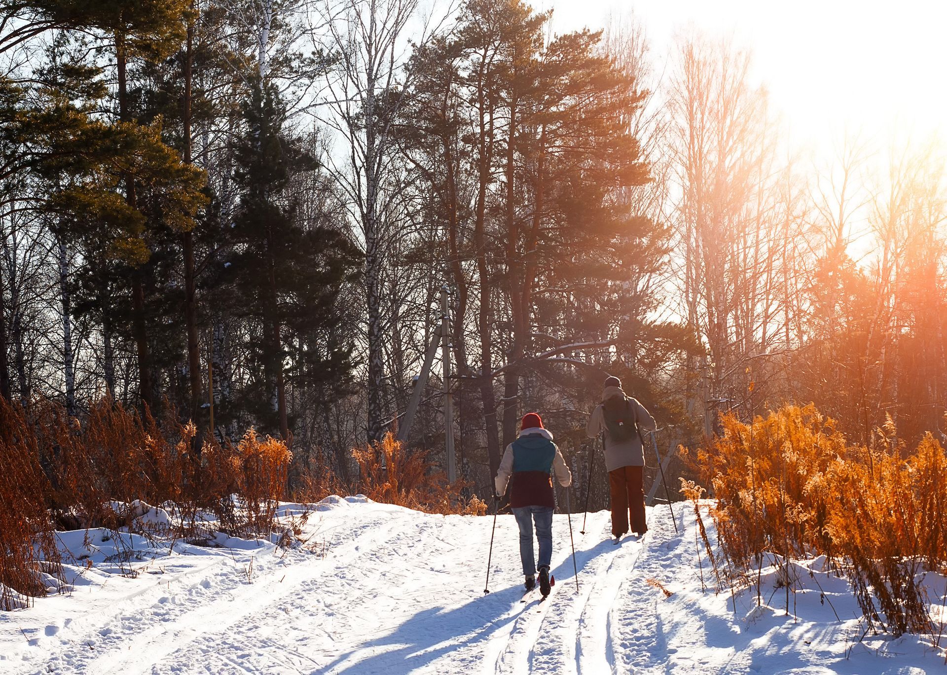 Two people are cross country skiing down a snowy path in the woods.