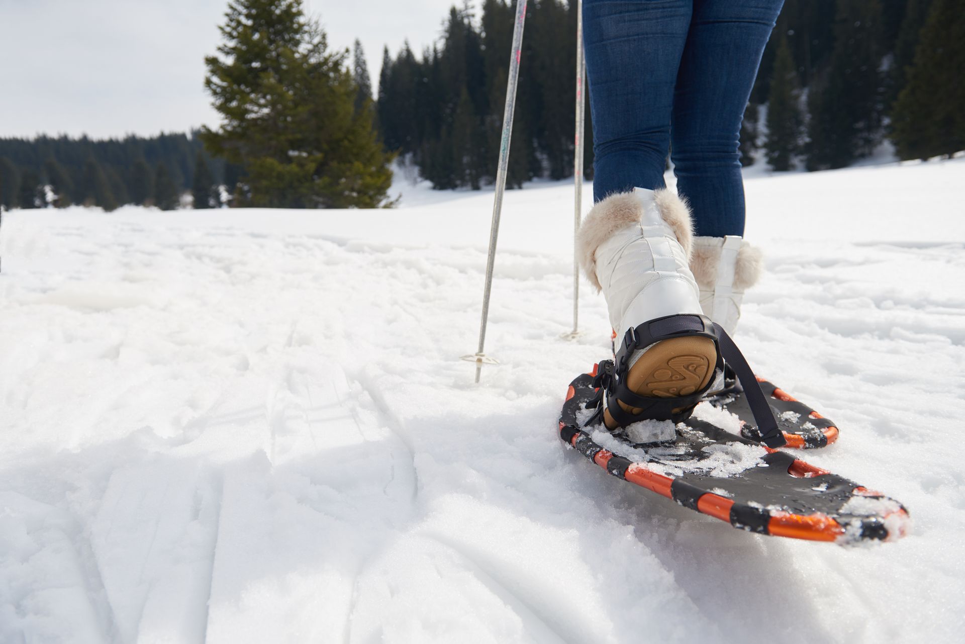 A person is walking in the snow on snowshoes.