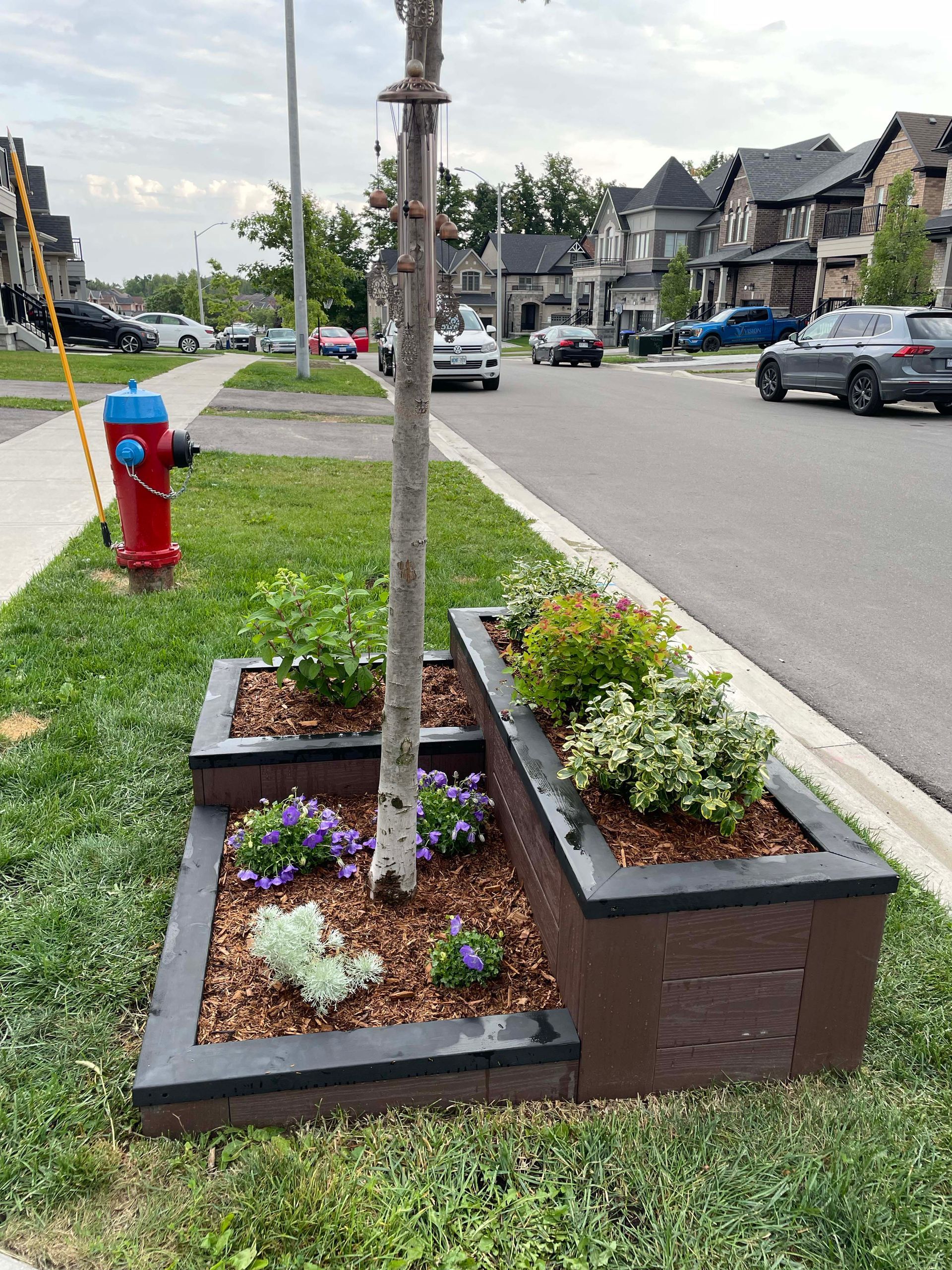 A tree in a planter on the side of a street next to a fire hydrant.