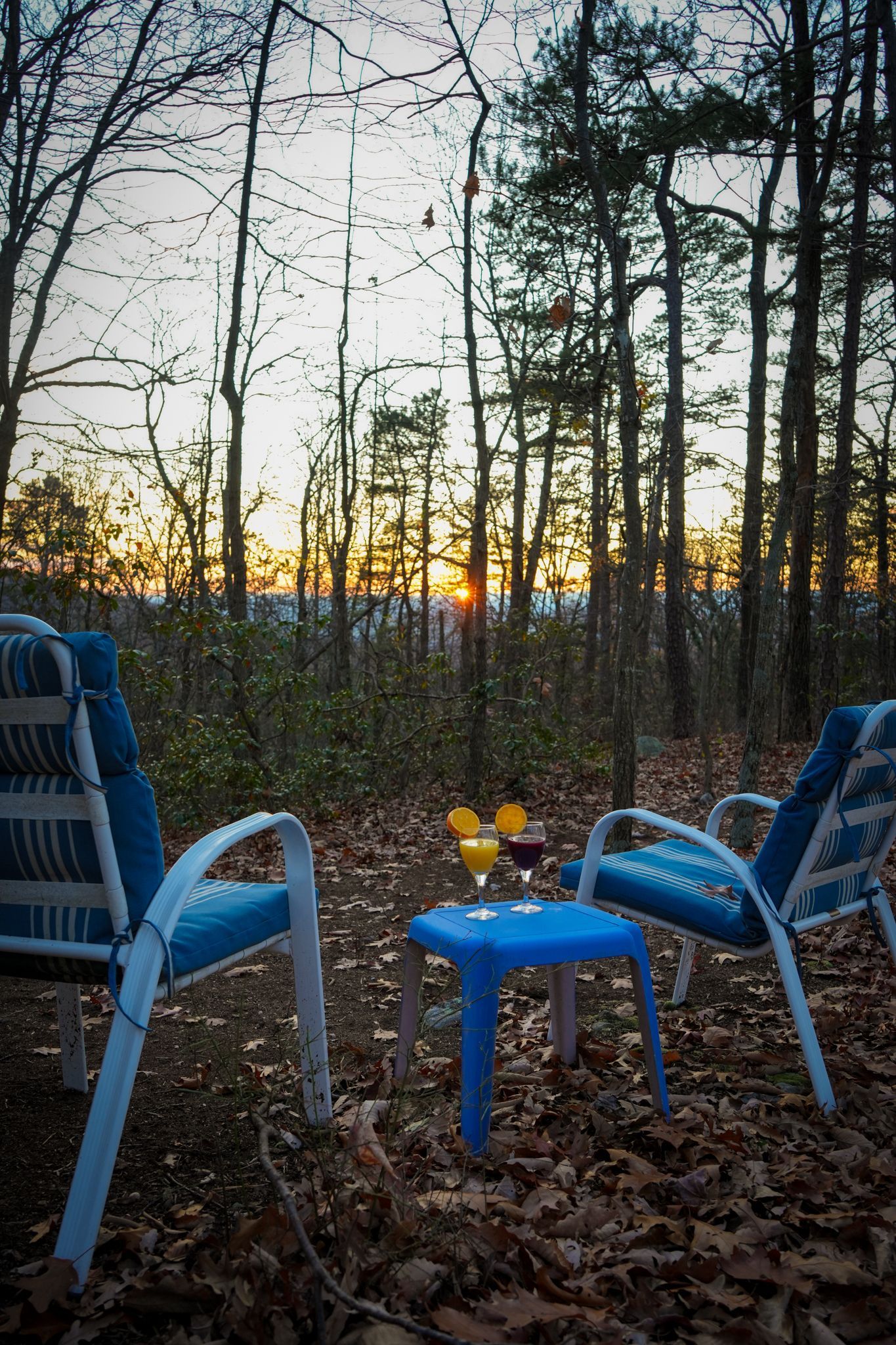 Two chairs and a table with wine glasses on it in the woods at sunset.