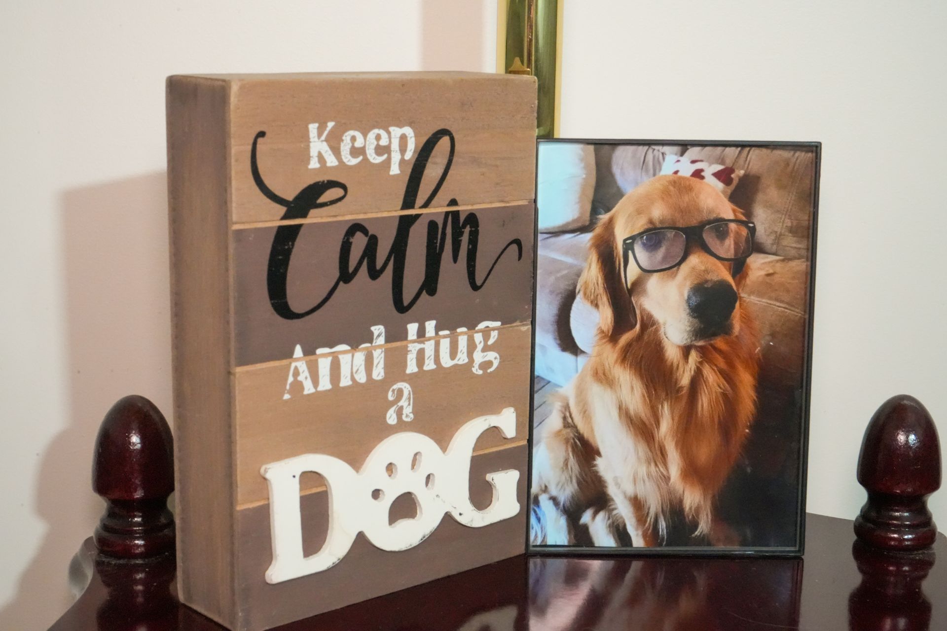 A picture of a dog next to a sign that says keep calm and hug a dog