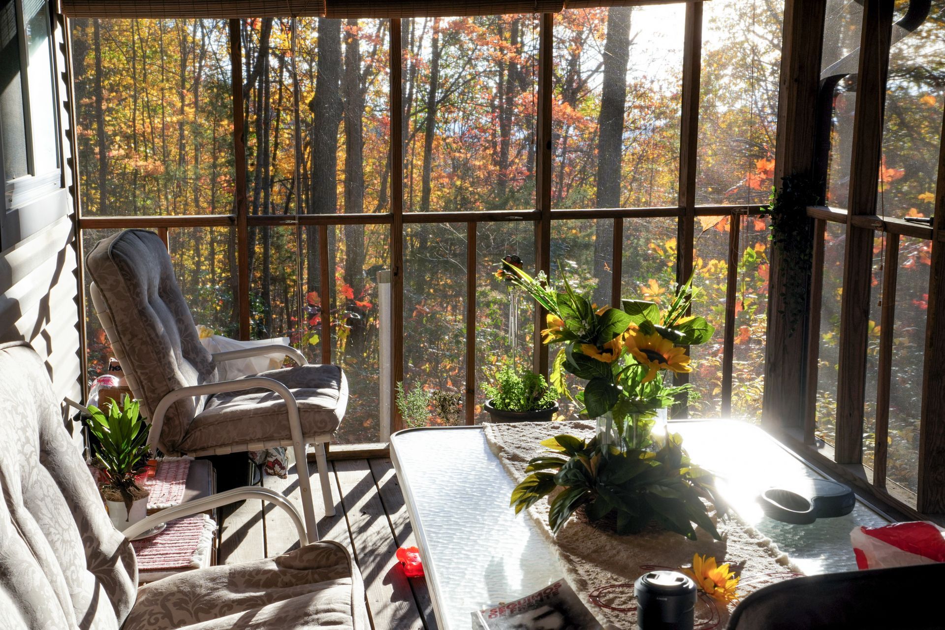A screened in porch with a view of the woods