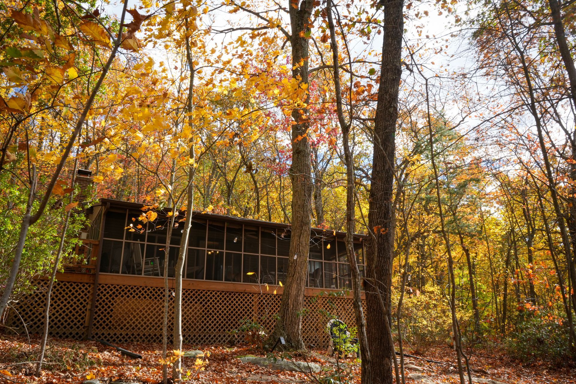 A house in the middle of a forest with trees covered in leaves.