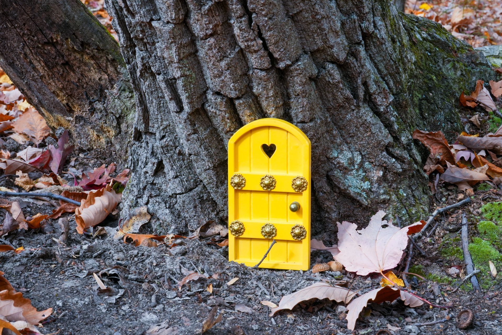 A small yellow door with a heart on it is sitting next to a tree trunk.