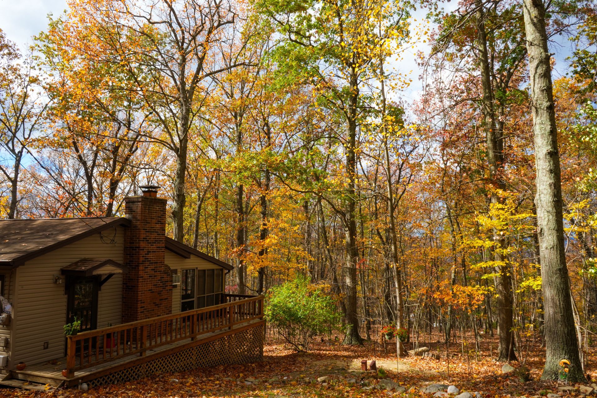A small house with a deck in the middle of a forest.
