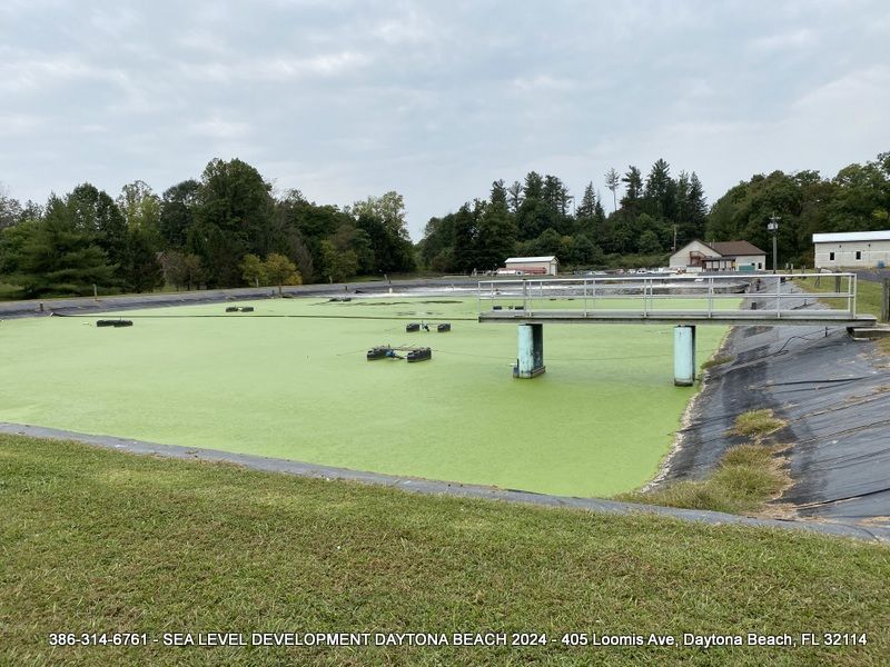 A large body of water covered in green algae