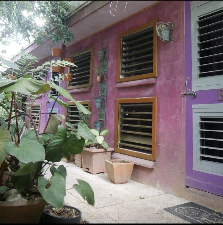 A purple house with a lot of windows and potted plants in front of it.