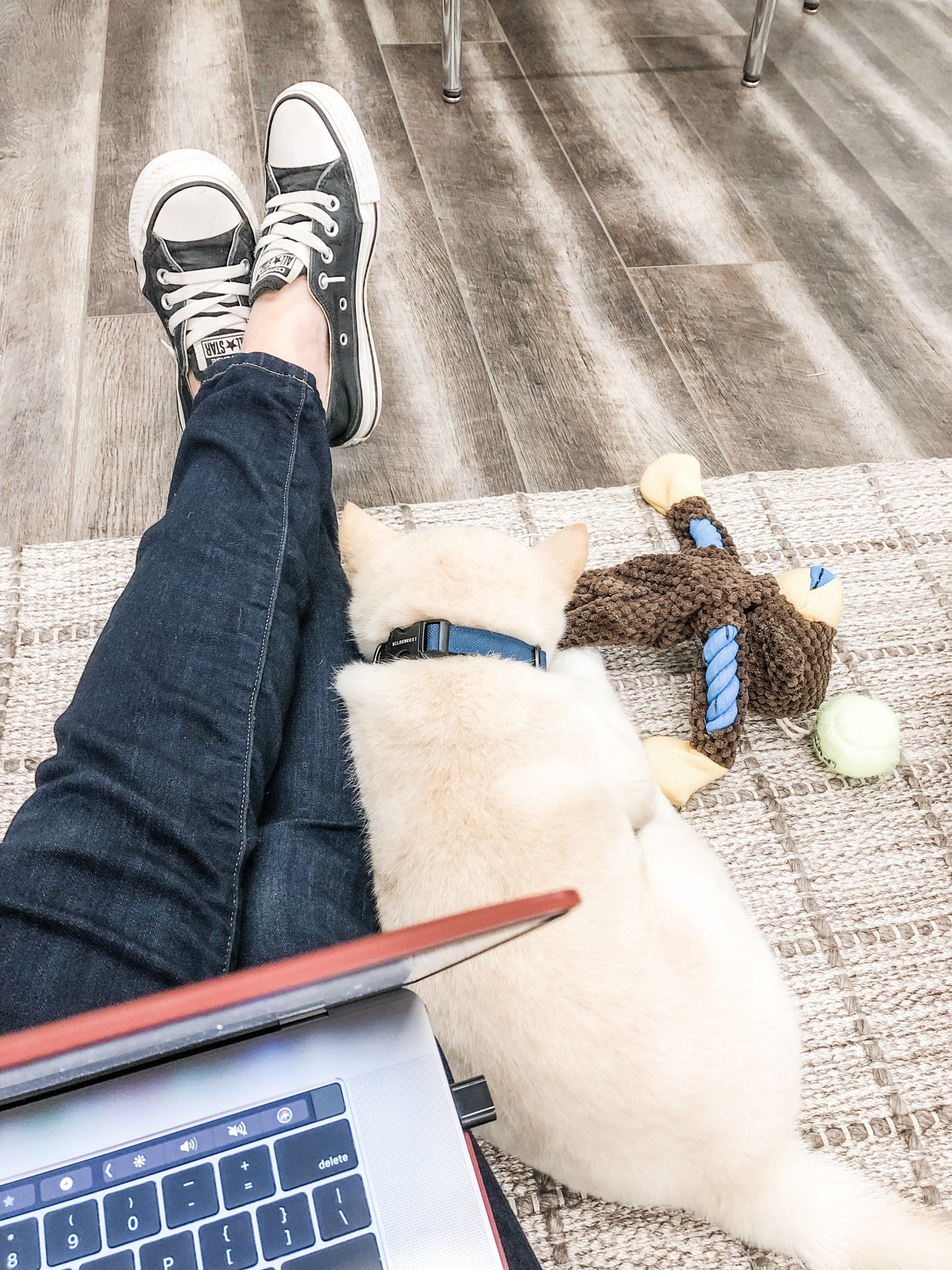 Sarah Stoops, Director of Operations & Marketing at Atterberry Auction & Realty Company