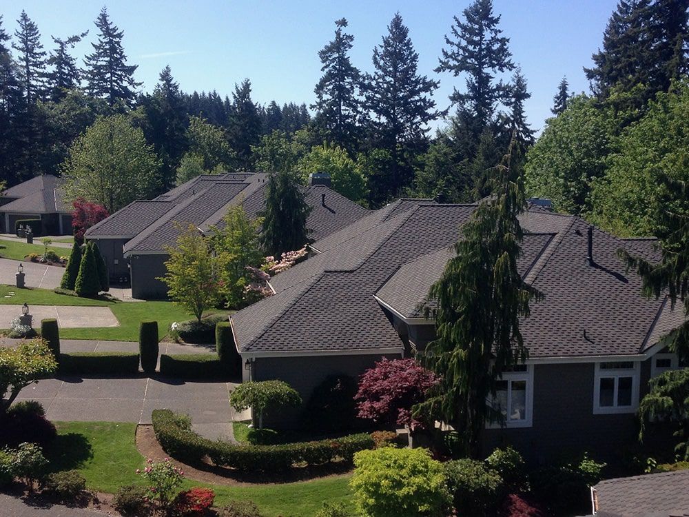 a row of houses with a lot of trees in the background