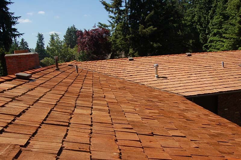 a wooden roof with trees in the background
