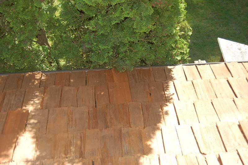 a wooden roof with a tree in the background