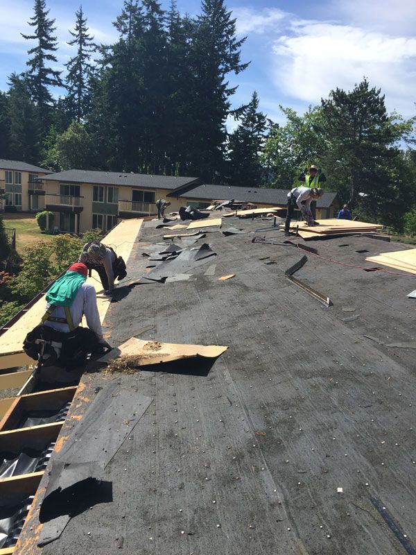 a group of people are working on the roof of a building .