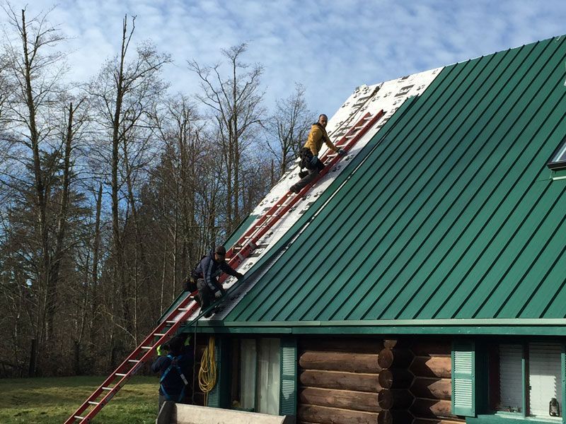 a group of people are working on a green roof
