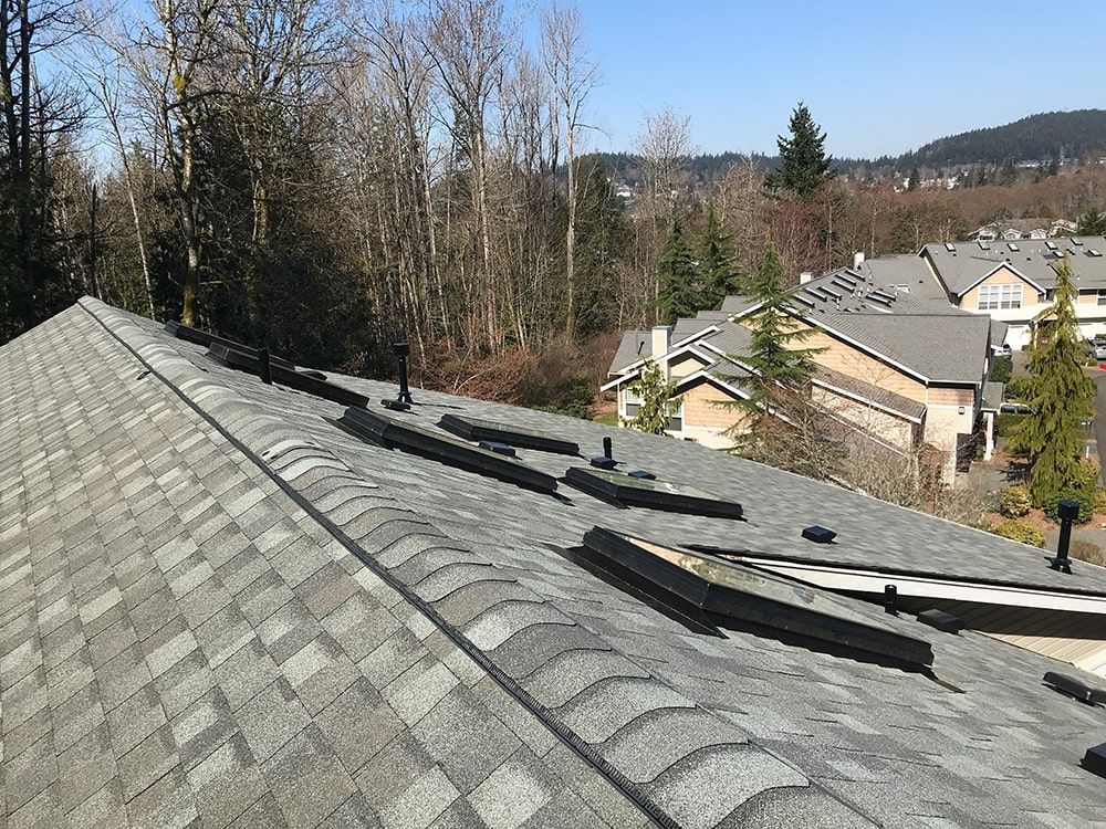 a roof with a lot of shingles on it and trees in the background .