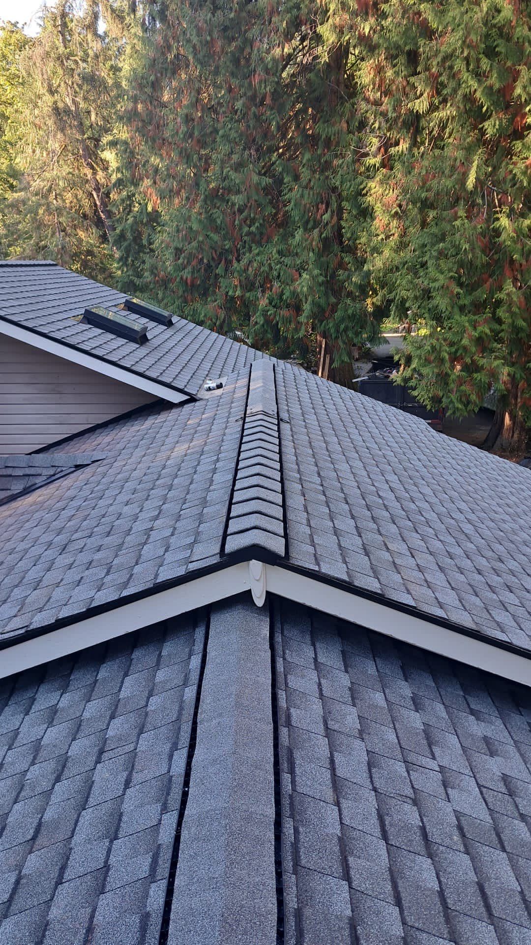 a close up of a roof with trees in the background .