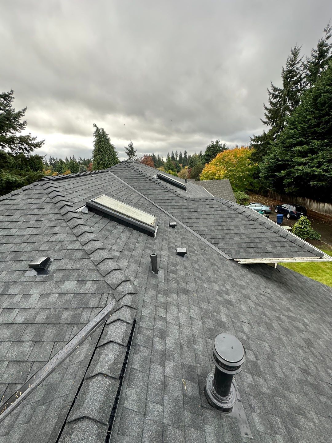 the roof of a house with a lot of skylights on it .