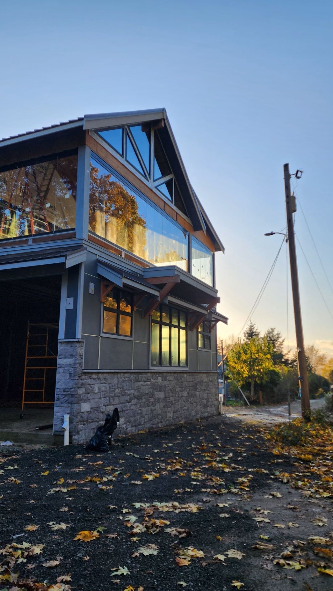 a dog is sitting in front of a building with a lot of windows .