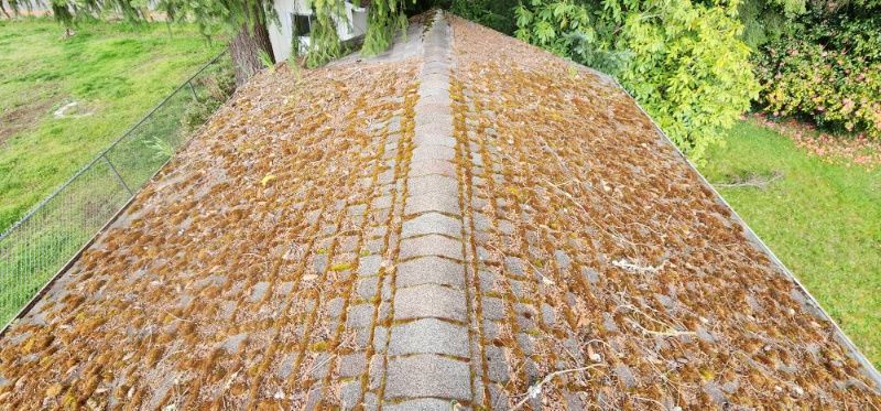 leaf build out on a roof