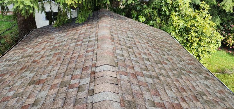 close up of shingles on a roof