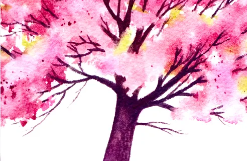 a watercolor painting of a cherry blossom tree with pink flowers
