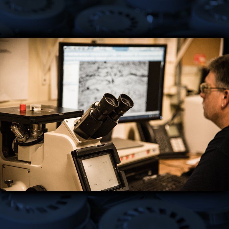 hayden corporation lab team