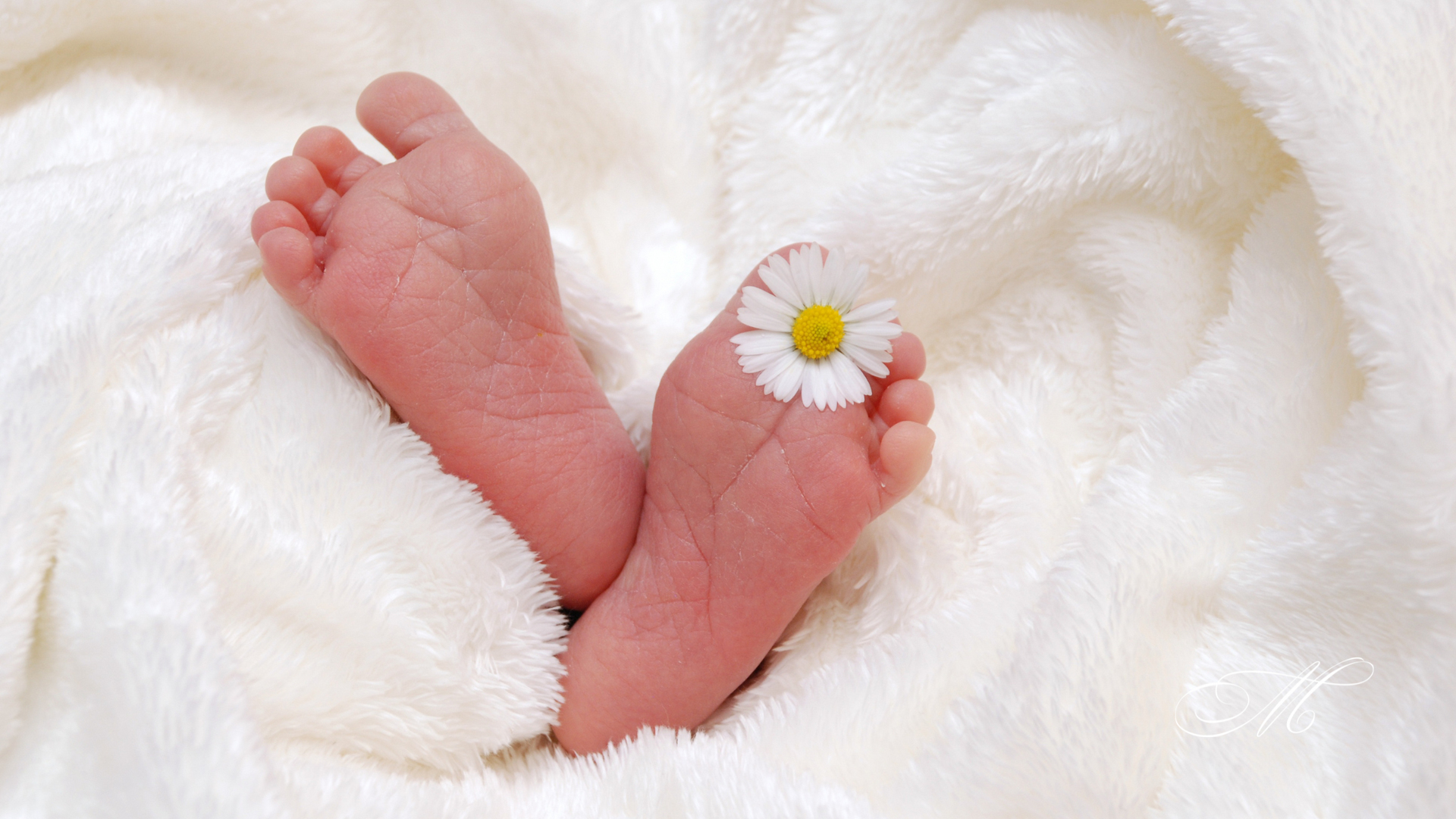 A baby 's feet with a flower on them on a white blanket.