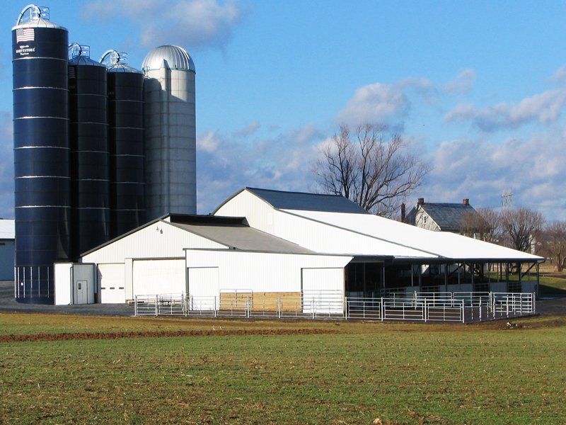 Farm buildings: white barn with silos, blue sky, and a fenced area.