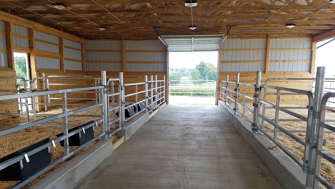 Inside of a barn with metal railings, concrete floor, and stalls with bedding. Open doorway in the distance.
