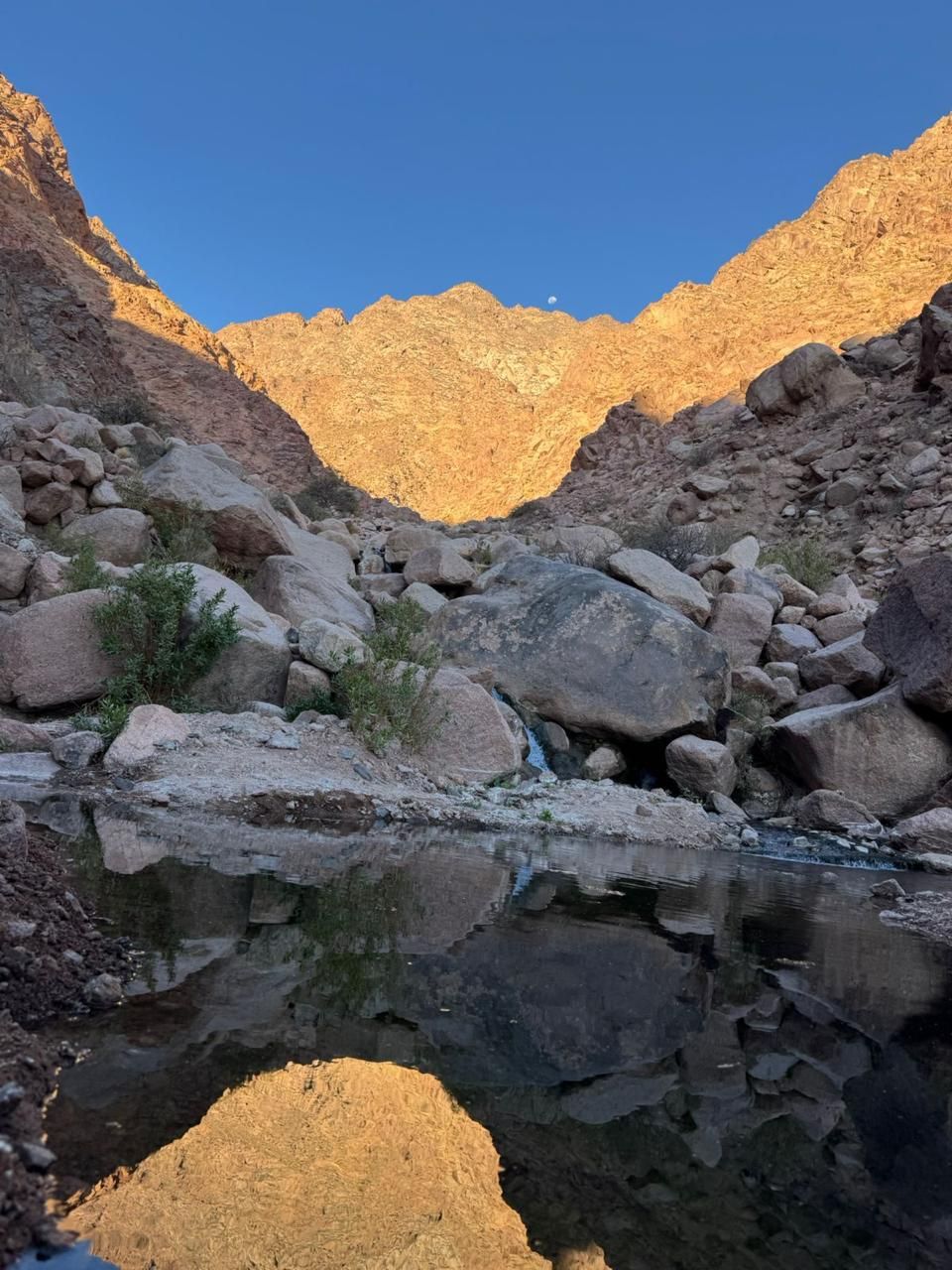 Cañón rocoso con agua que refleja las montañas y el cielo azul.