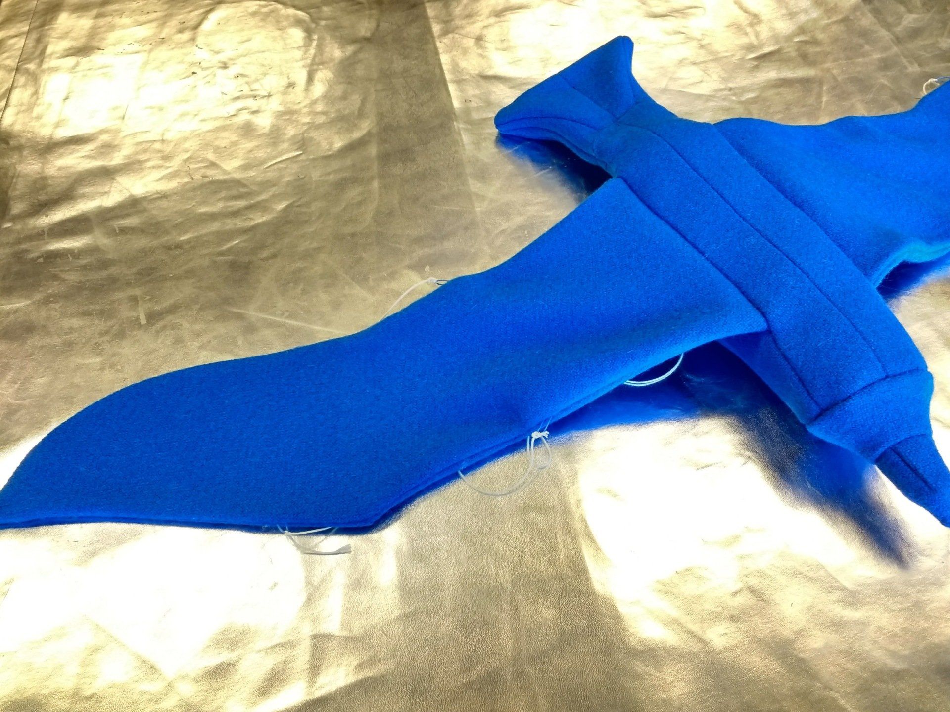 Een blauw vogel ligt op een zilveren oppervlak