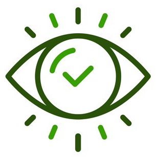 A green icon of an eye with a check mark inside of it.