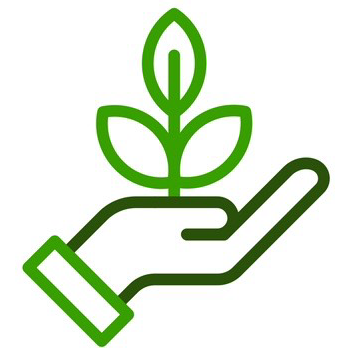 A hand is holding a plant with leaves growing out of it.