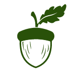 A green acorn with a leaf on top of it.