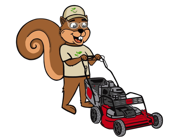 Animated Driving A Lawn Mower Frog With A Lawn Mower Stock Photo