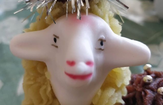 TESTA PER AGNELLI PASQUALI